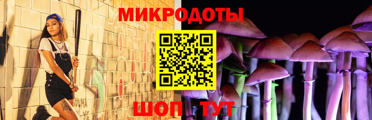 Псилоцибиновые грибы мицелий  Псилоцибиновые грибы прущие грибы  Орехово-Зуево  Вход с VPN 